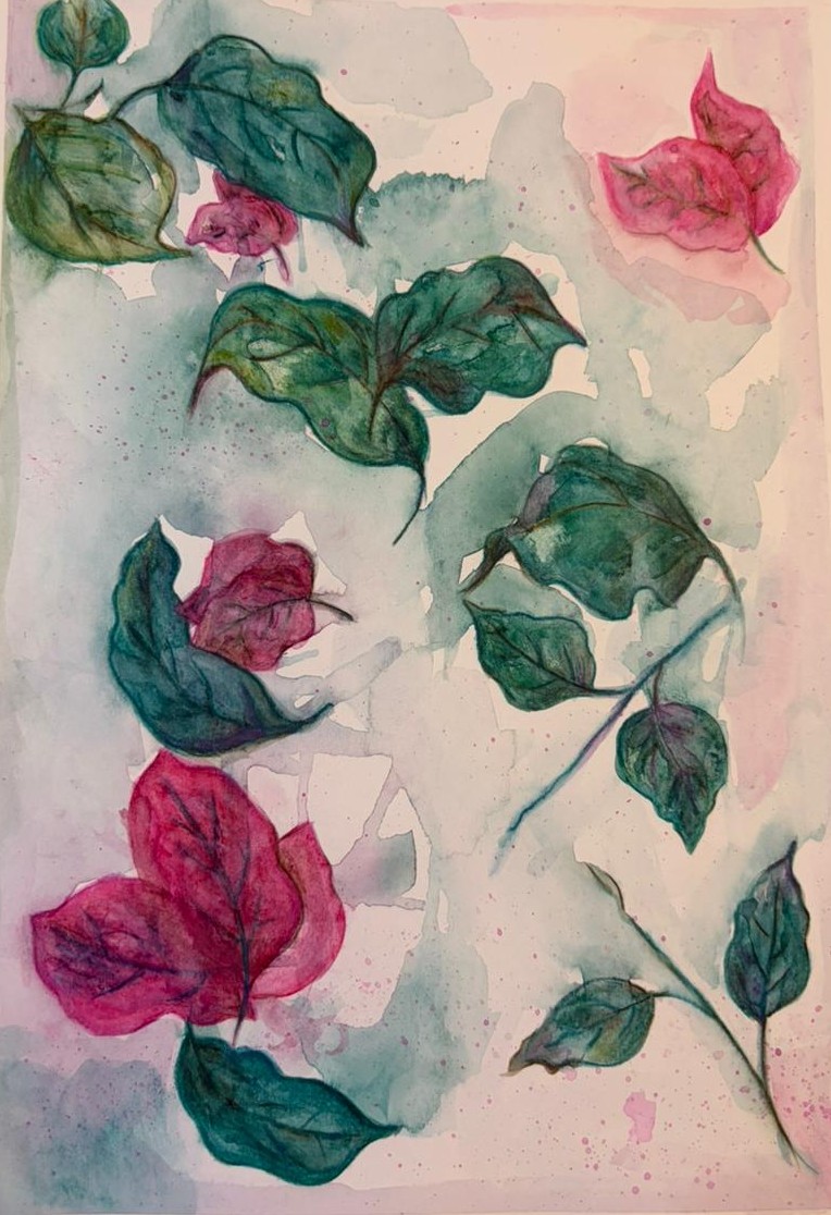 Naturaleza 8